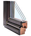 Wood-carbon windows